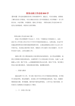 财务出纳工作总结800字