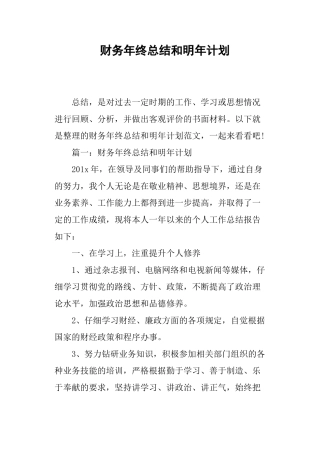 财务年终总结和明年计划