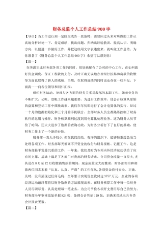 财务总监个人工作总结900字