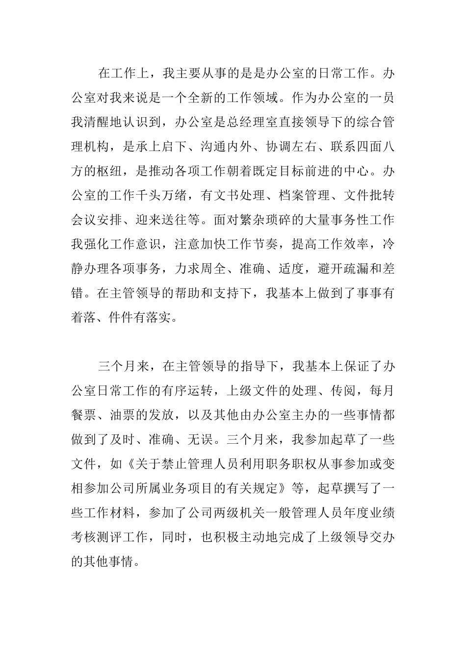 财务文员试用期转正工作总结格式_第2页