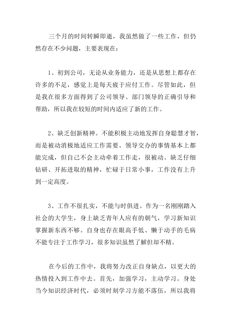 财务文员试用期转正工作总结格式_第3页