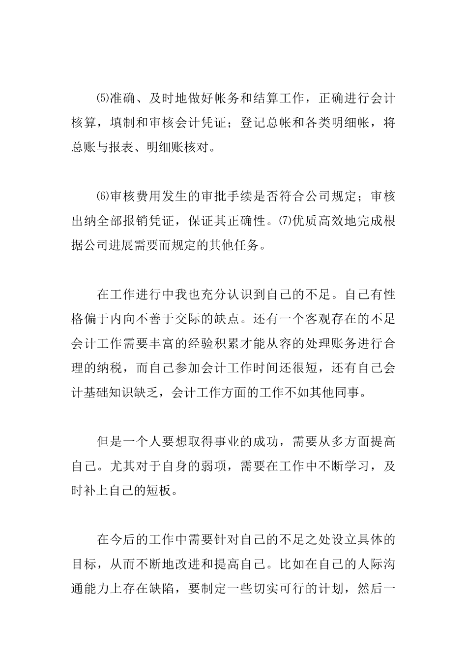 财务新人工作总结_第2页