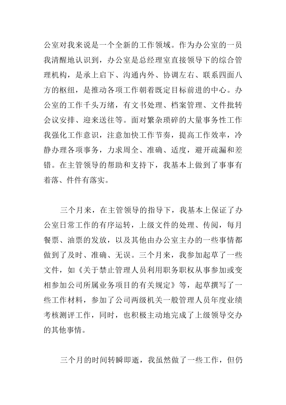 财务文员试用期转正工作总结范本_第2页