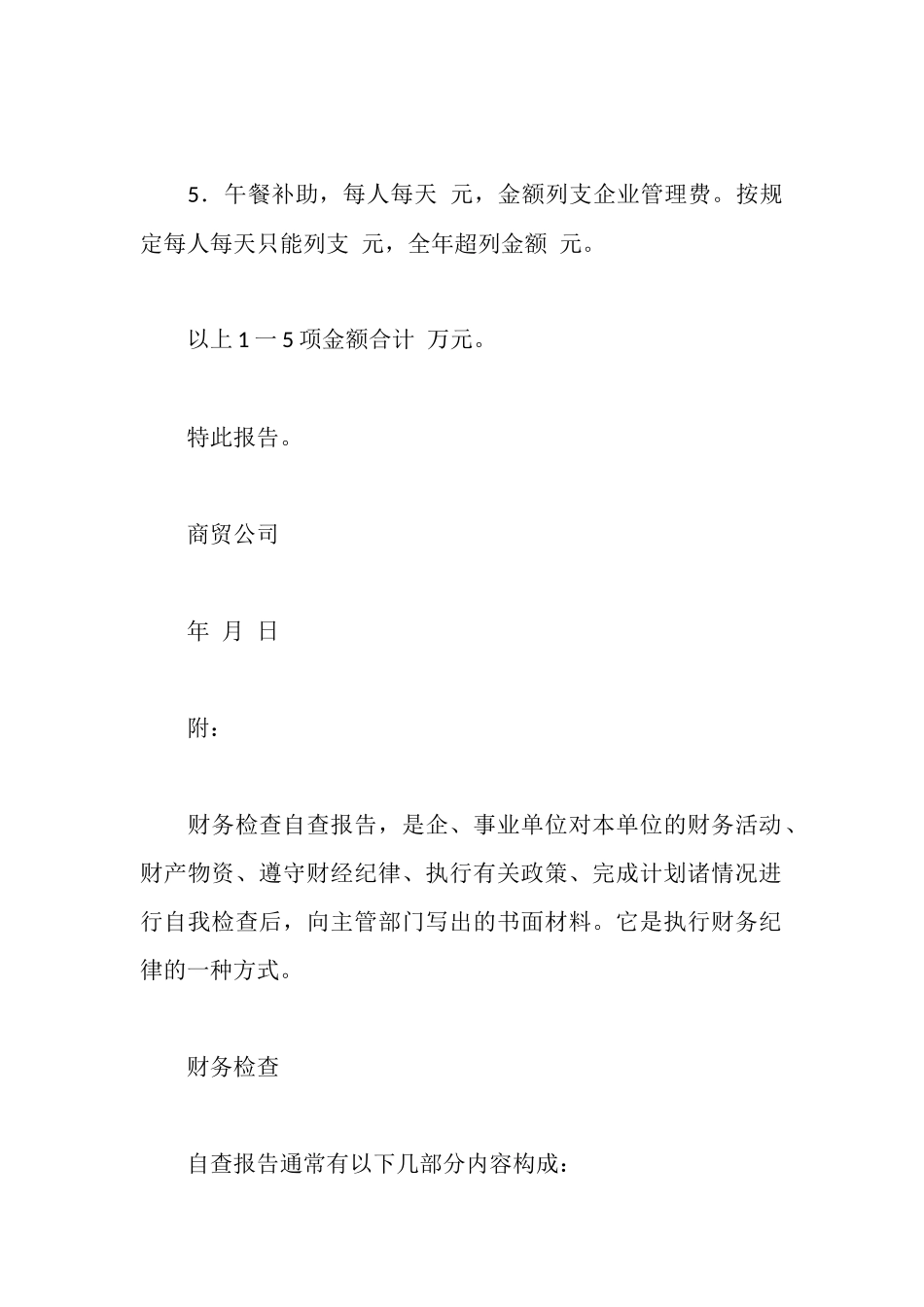 财务自查报告_第2页