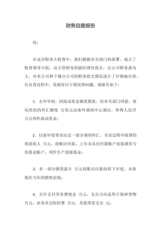 财务自查报告