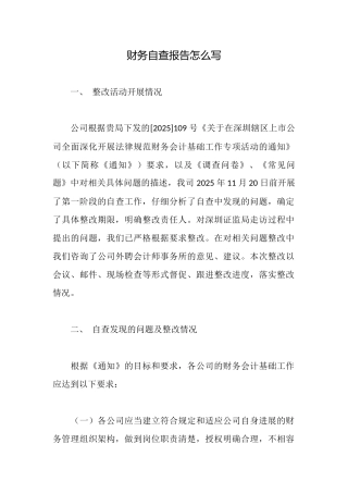 财务自查报告怎么写