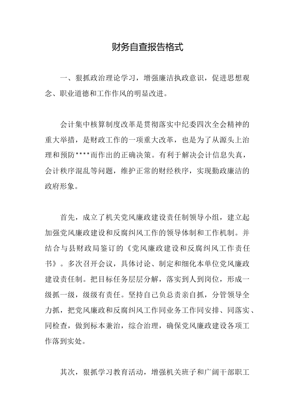 财务自查报告格式_第1页