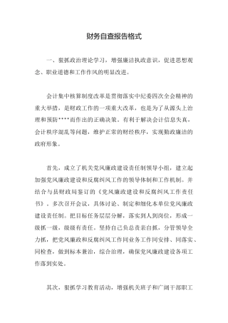 财务自查报告格式