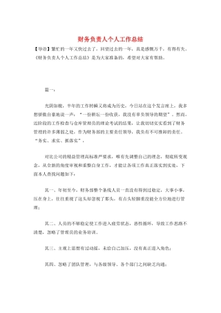 财务负责人个人工作总结