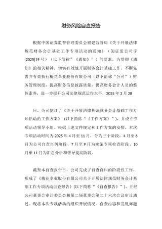 财务风险自查报告