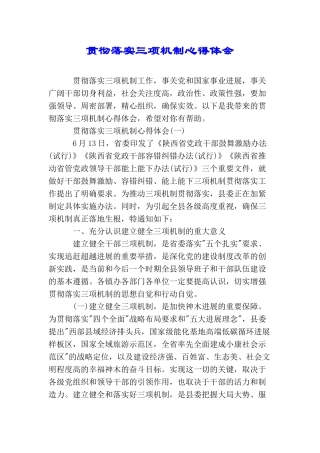 贯彻落实三项机制心得体会