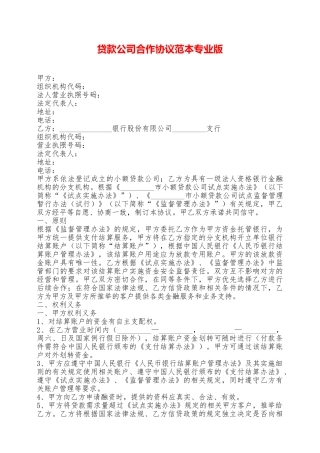 贷款公司合作协议范本专业版——范本