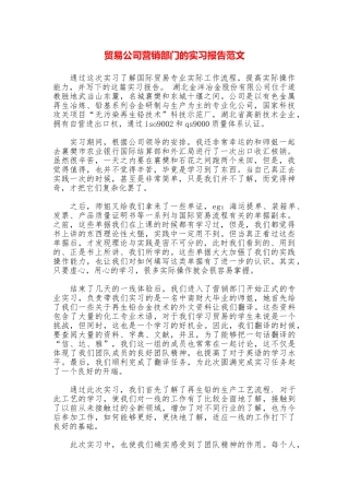 贸易公司营销部门的实习报告范文