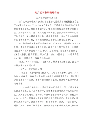 赴广汉市挂职锻炼体会
