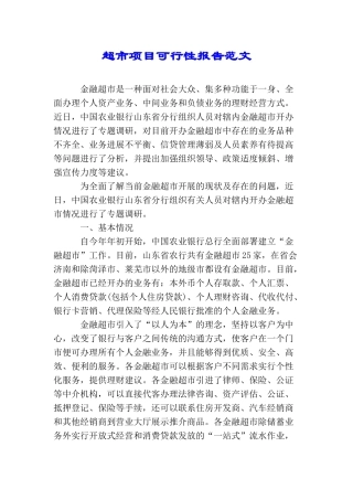 超市项目可行性报告范文