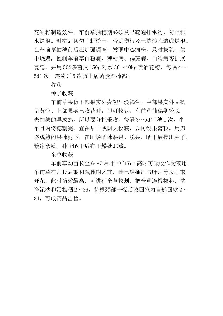 车前草的花语是什么_第3页