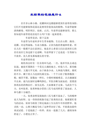 车前草的花语是什么