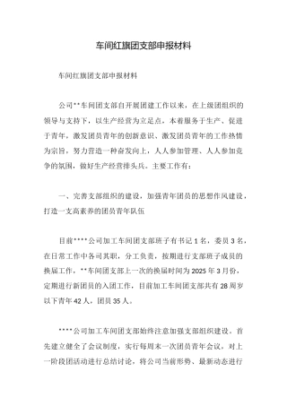 车间红旗团支部申报材料