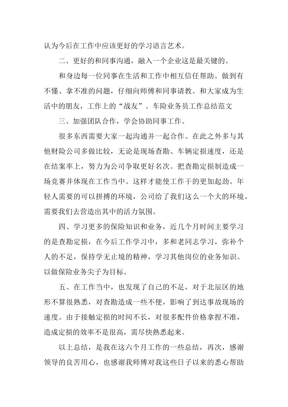 车险业务员工作总结范文_第2页