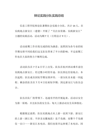 辩论实践分队实践总结