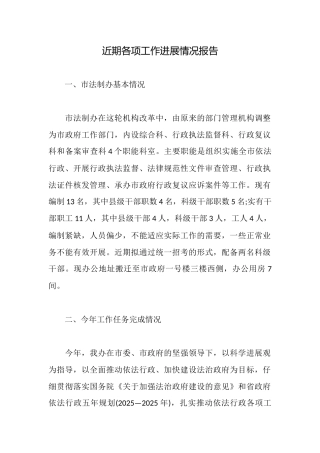 近期各项工作进展情况报告