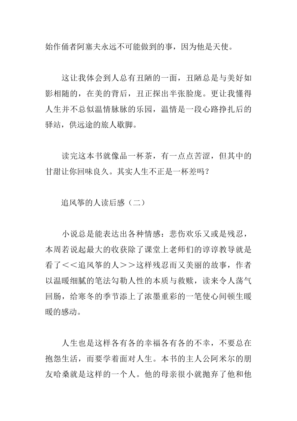 追风筝的人读后感10篇_第3页