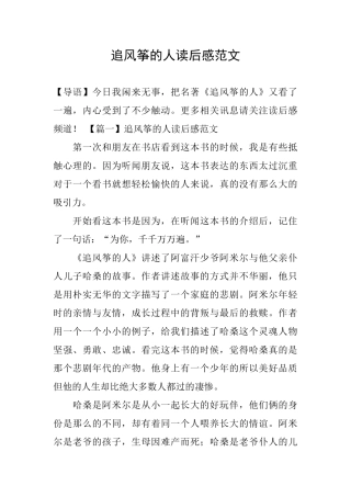 追风筝的人读后感范文