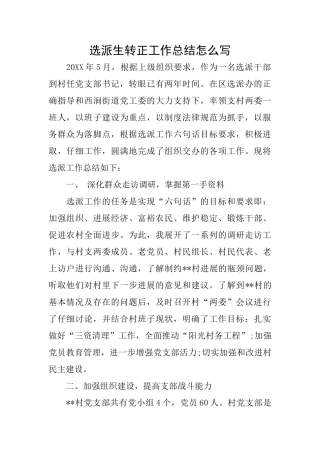 选派生转正工作总结怎么写