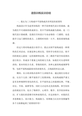 造型训练实训总结