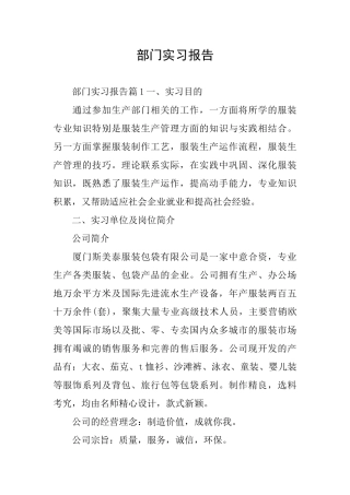 部门实习报告