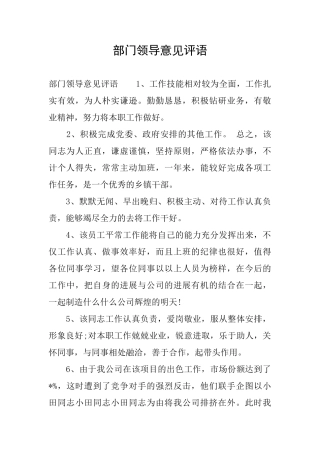 部门领导意见评语