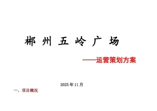 郴州五岭广场运营策划方案1