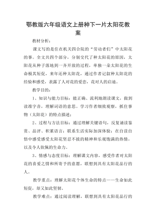 鄂教版六年级语文上册种下一片太阳花教案