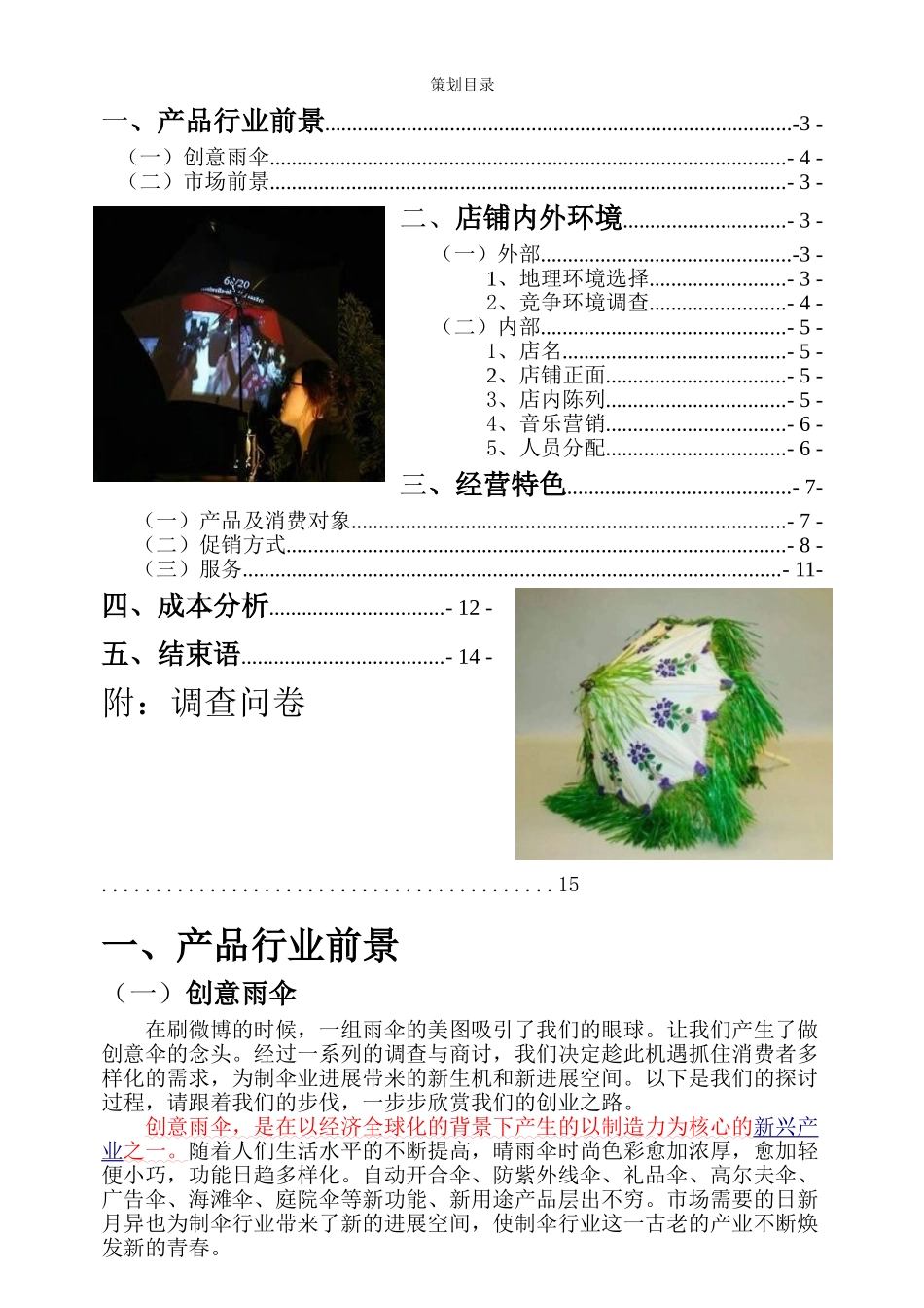 酷德创意伞创业策划书_第2页