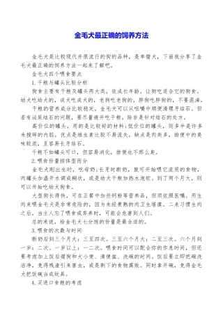 金毛犬最正确的饲养方法