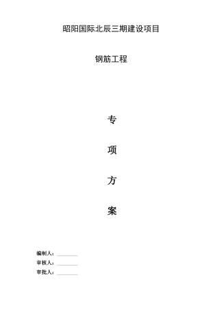 钢筋工程专项方案