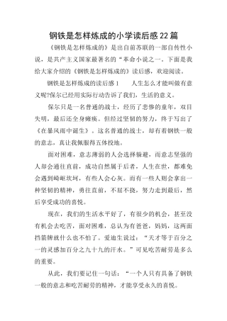 钢铁是怎样炼成的小学读后感22篇