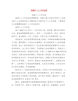 钻探个人工作总结