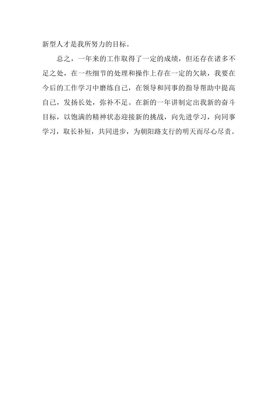 银行个人总结_第3页