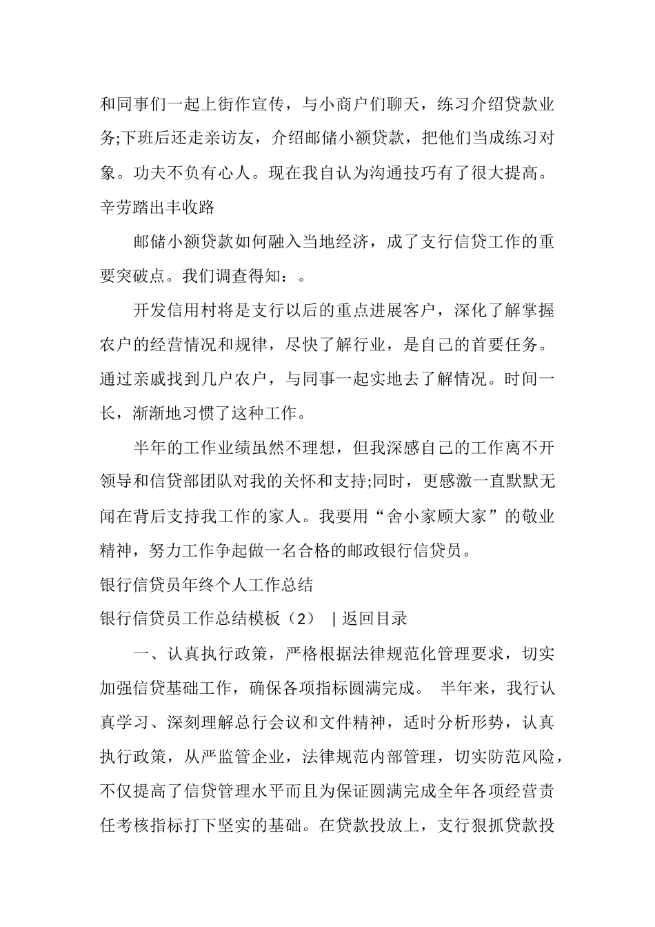 银行信贷员工作总结模板3篇_第3页