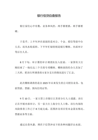 银行信贷自查报告