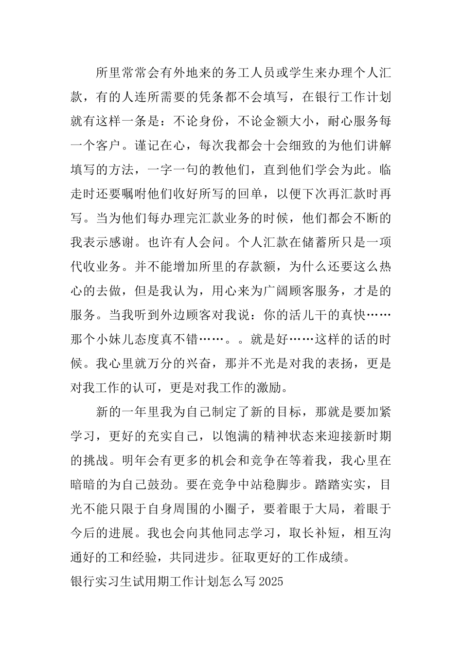 银行实习生试用期工作计划怎么写2025_第2页