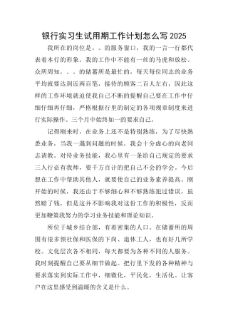 银行实习生试用期工作计划怎么写2025