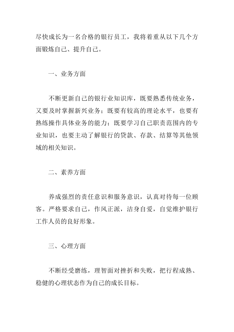 银行年终总结范文精选_第3页