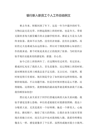 银行新入职员工个人工作总结例文