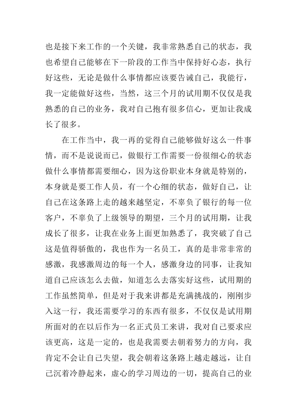 银行新职员试用期工作总结_第2页