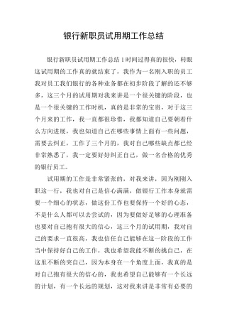 银行新职员试用期工作总结