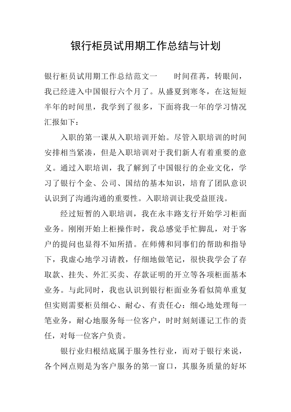 银行柜员试用期工作总结与计划_第1页
