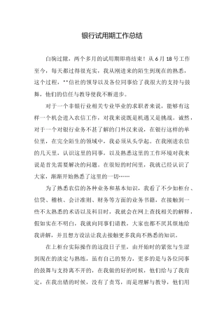 银行试用期工作总结