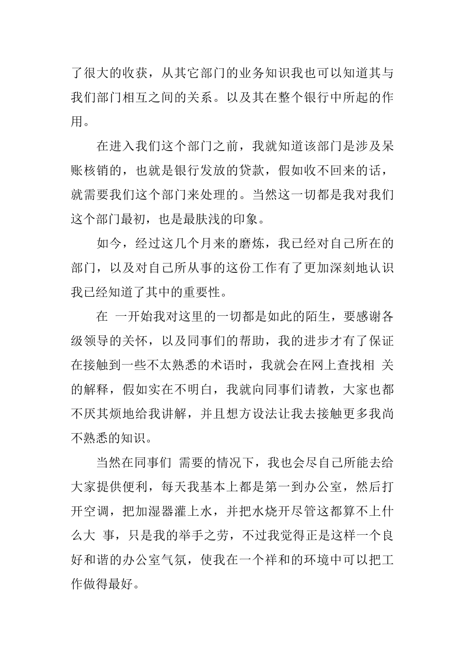 银行试用期转正的工作总结_第2页